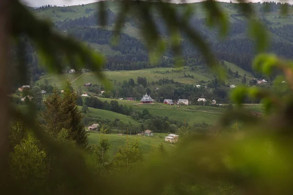 Сільський Краєвид Дерев Яними Будинками Зеленою Травою Карпатських Горах — стокове фото