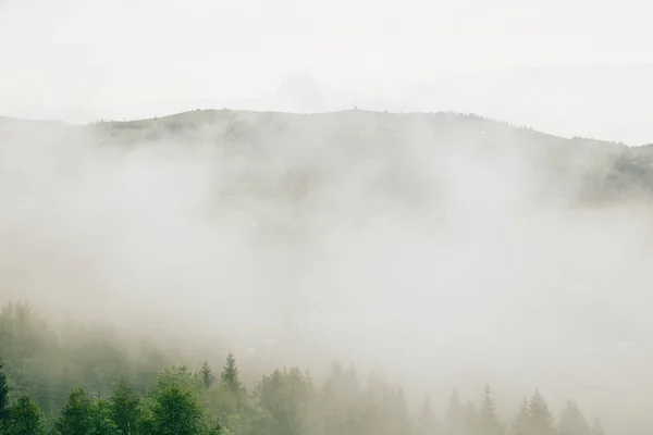 Paysage Naturel Avec Brouillard Nuages Dans Les Montagnes Des Carpates — Photo