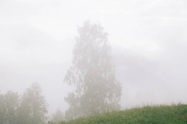 Природний Ландшафт Туманом Хмарами Карпатських Горах Україна — стокове фото