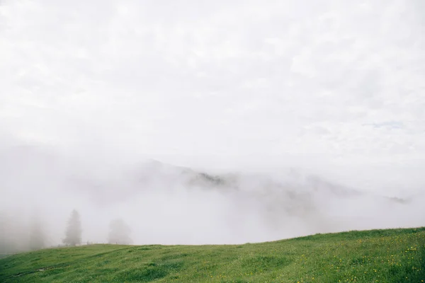 Paysage Naturel Avec Brouillard Nuages Dans Les Montagnes Des Carpates — Photo