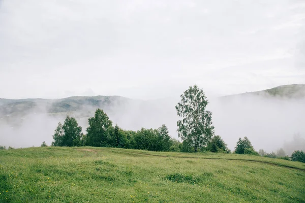 Přírodní Krajina Mlhou Mraky Karpatech Ukrajina — Stock fotografie