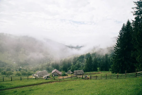 Rural Landscape Wooden Houses Green Grass Carpathian Mountains — Stock Photo, Image