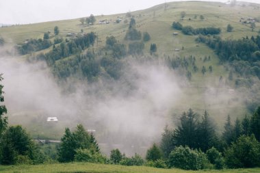 Karpat Dağları, Ukrayna 'da sisli ve bulutlu doğal manzara 