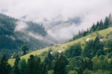 Karpat Dağları, Ukrayna 'da sisli ve bulutlu doğal manzara 