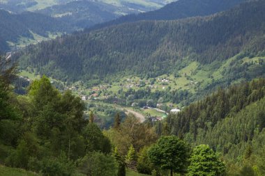 Gündüz vakti yeşil ağaçlar ve Karpat dağlarıyla doğal manzara, Ukrayna