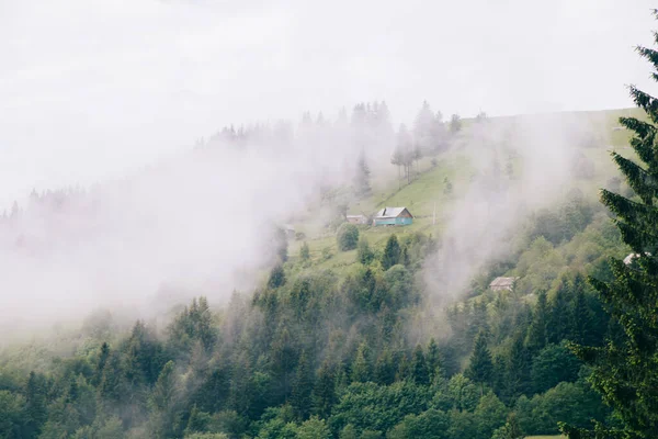 Paisaje Natural Con Niebla Nubes Las Montañas Los Cárpatos Ucrania — Foto de Stock