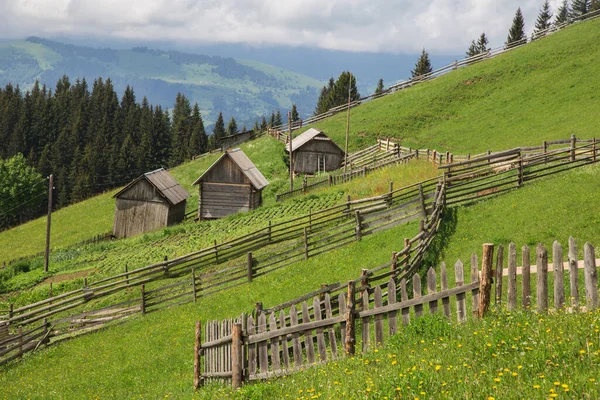 Landelijk Landschap Met Houten Huizen Groen Gras Karpaten — Stockfoto