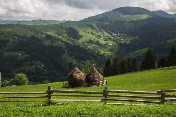 Natuurlijk Landschap Met Groene Bomen Karpaten Bergen Overdag Oekraïne — Stockfoto