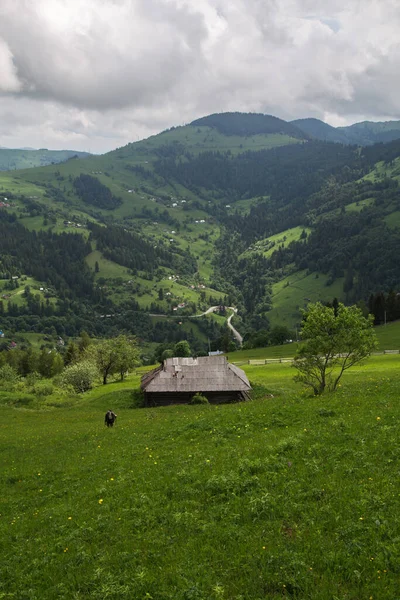 Landelijk Landschap Met Houten Huizen Groen Gras Karpaten — Stockfoto