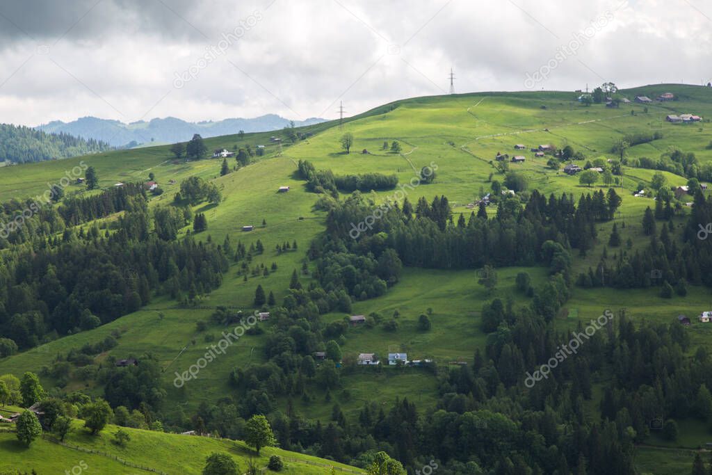 natural landscape with green trees and Carpathian mountains at daytime, Ukraine