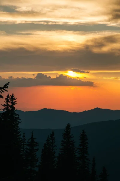 Naturlandschaft Mit Tannen Und Bergen Sonnenuntergang Bei Marmarosy Grenze Der — Stockfoto