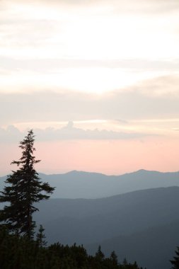 Ukrayna 'nın Romanya sınırı Marmarosy' de gün batımında dağlarla çevrili doğal manzara 