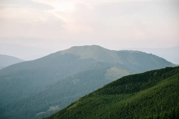 Přírodní Krajina Horami Dne Marmarosy Hranice Ukrajiny Rumunskem — Stock fotografie