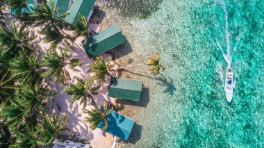 Tütün Caye küçük Karayip ada Belize Barrier Reef içinde hava dron görünümü