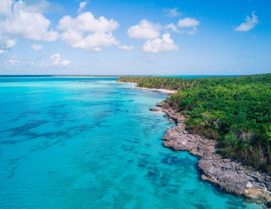 Saona Adası Punta Cana, Dominik Cumhuriyeti için hava dron görünümü