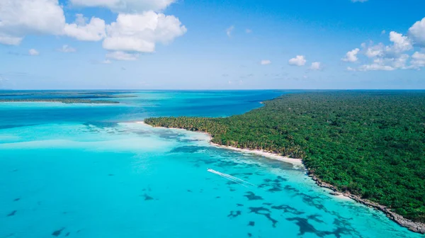Saona Adası Punta Cana, Dominik Cumhuriyeti için hava dron görünümü