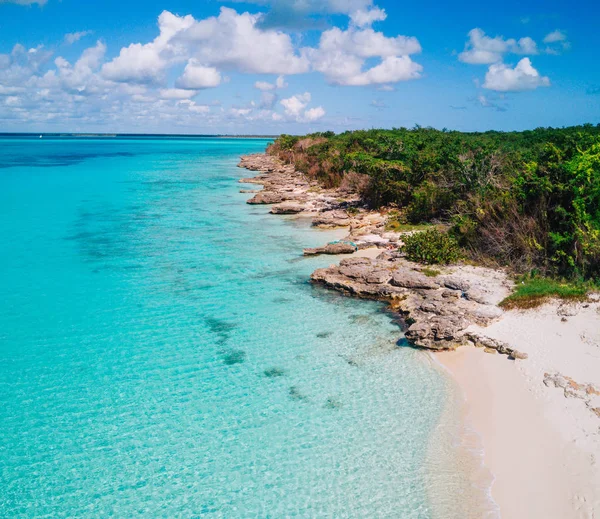 Saona Adası Punta Cana, Dominik Cumhuriyeti için hava dron görünümü