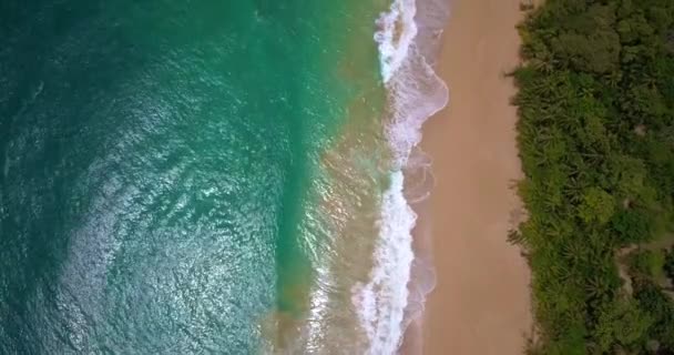 Aerial drone view of a Tropical caribbean beach in Bocas del Toro, Panama — Stock Video