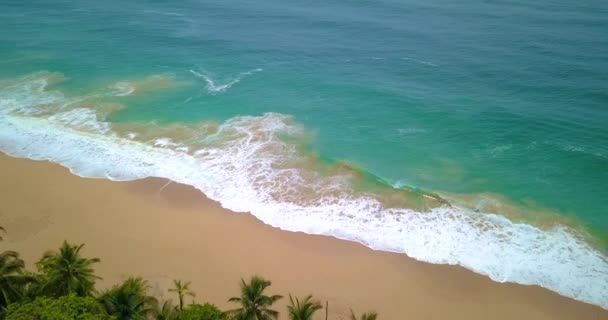 Aerial drone view of a Tropical caribbean beach in Bocas del Toro, Panama — Stock Video