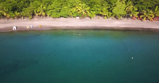 Aerial drönarvy flicka kör till vatten och simning med utsikt över en tropisk strand i den karibiska ön St Lucia — Stockvideo