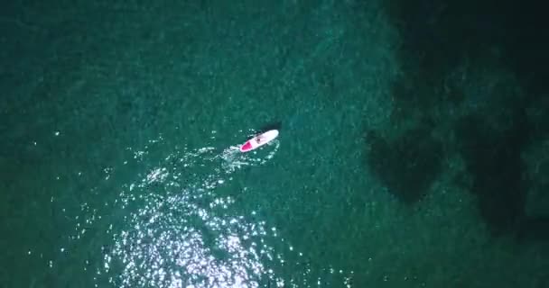 Aerial drone view of girl doing Stand up paddleboard in tropical clear waters in the Caribbean — Stock Video