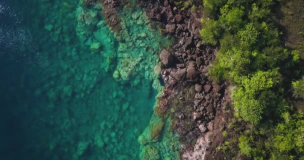 热带天堂海岸线的鸟图 加勒比海岛上有绿松石般的水和海浪冲击岩石 — 图库视频影像
