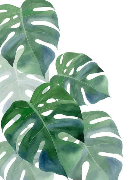 水彩緑の葉の背景 カード — ストック写真