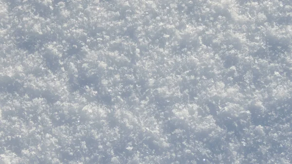 Schnee Auf Dem Boden — Stockfoto