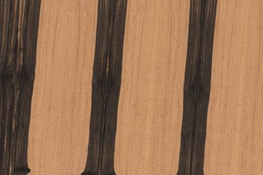 Abanoz Afrika ağaç yapısı doku arka plan duvar kağıdı