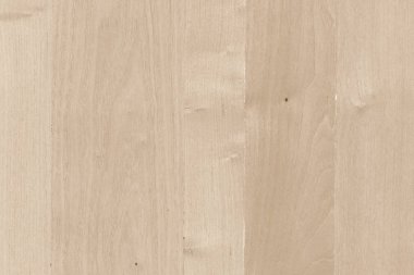 akasya ahşap ağaç ahşap yüzey duvar kağıdı yapısı doku arka plan 