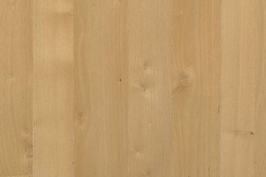 akasya ahşap ağaç ahşap yüzey duvar kağıdı yapısı doku arka plan 