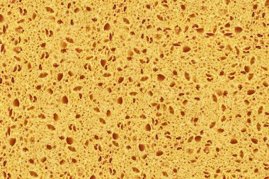 doğal organik sünger yapısı doku arka plan duvar kağıdı