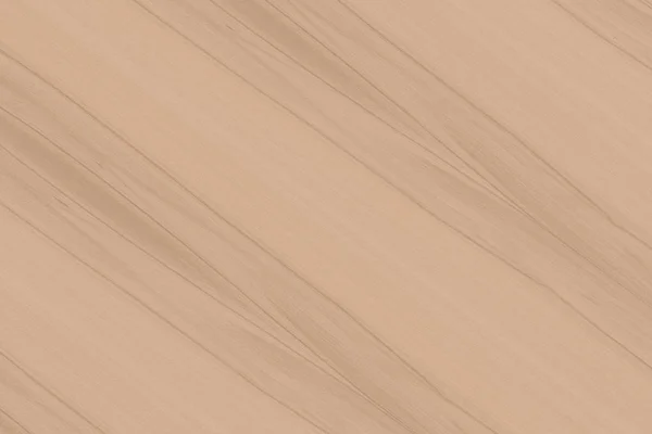 浅棕色山毛榉树木壁纸结构表面纹理背景 — 图库照片