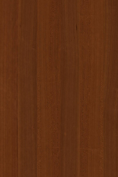 Вишневое дерево дерева дерева обои структуры поверхности текстуры фона поверхности
