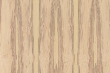 Nükleer dişbudak ahşap Ahşap yapı doku yüzey tahıl arka plan 