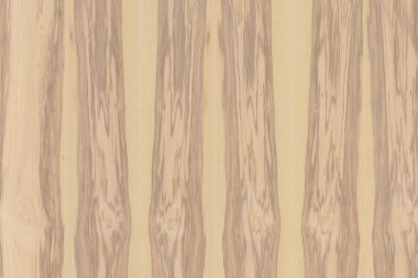 Nükleer dişbudak ahşap Ahşap yapı doku yüzey tahıl arka plan 