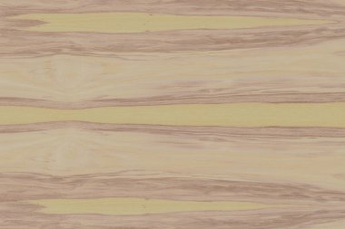 Nükleer dişbudak ahşap Ahşap yapı doku yüzey tahıl arka plan 