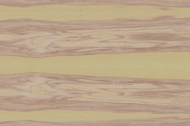 Nükleer dişbudak ahşap Ahşap yapı doku yüzey tahıl arka plan 