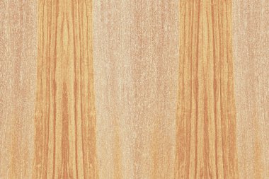 Nükleer dişbudak ahşap Ahşap yapı doku yüzey tahıl arka plan 