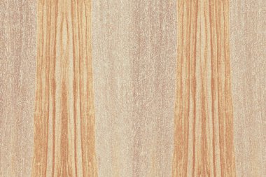 Nükleer dişbudak ahşap Ahşap yapı doku yüzey tahıl arka plan 