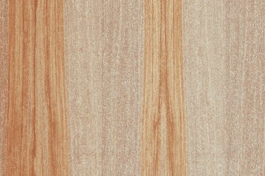 Nükleer dişbudak ahşap Ahşap yapı doku yüzey tahıl arka plan 