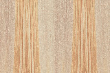 Nükleer dişbudak ahşap Ahşap yapı doku yüzey tahıl arka plan 