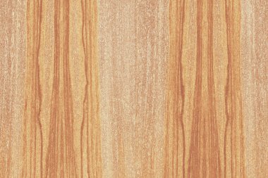 Nükleer dişbudak ahşap Ahşap yapı doku yüzey tahıl arka plan 