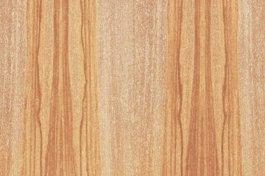 Nükleer dişbudak ahşap Ahşap yapı doku yüzey tahıl arka plan 