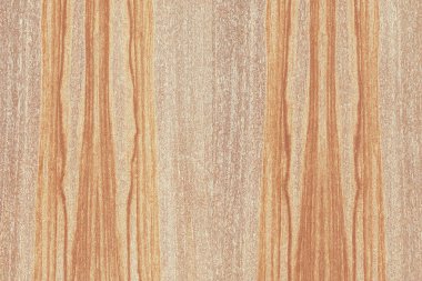 Nükleer dişbudak ahşap Ahşap yapı doku yüzey tahıl arka plan 