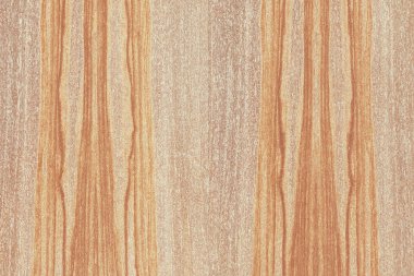 Nükleer dişbudak ahşap Ahşap yapı doku yüzey tahıl arka plan 