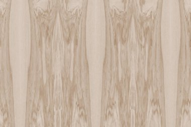 Nükleer dişbudak ahşap Ahşap yapı doku yüzey tahıl arka plan 