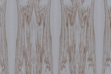 Nükleer dişbudak ahşap Ahşap yapı doku yüzey tahıl arka plan 