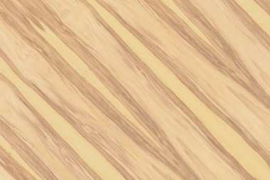 Nükleer dişbudak ahşap Ahşap yapı doku yüzey tahıl arka plan 