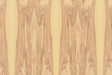 Nükleer dişbudak ahşap Ahşap yapı doku yüzey tahıl arka plan 